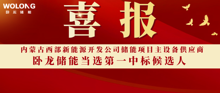 捷报频传！卧龙储能中标内蒙古新能源项目，并荣获EESIA卓越级认证